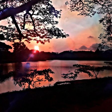 Lake View Dambulla Zewnętrze zdjęcie