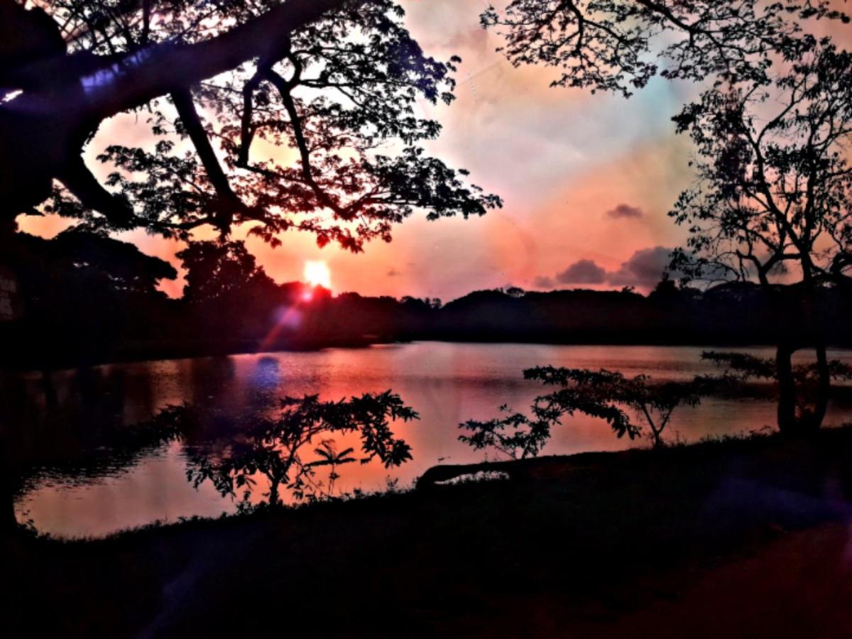 Lake View Dambulla Zewnętrze zdjęcie