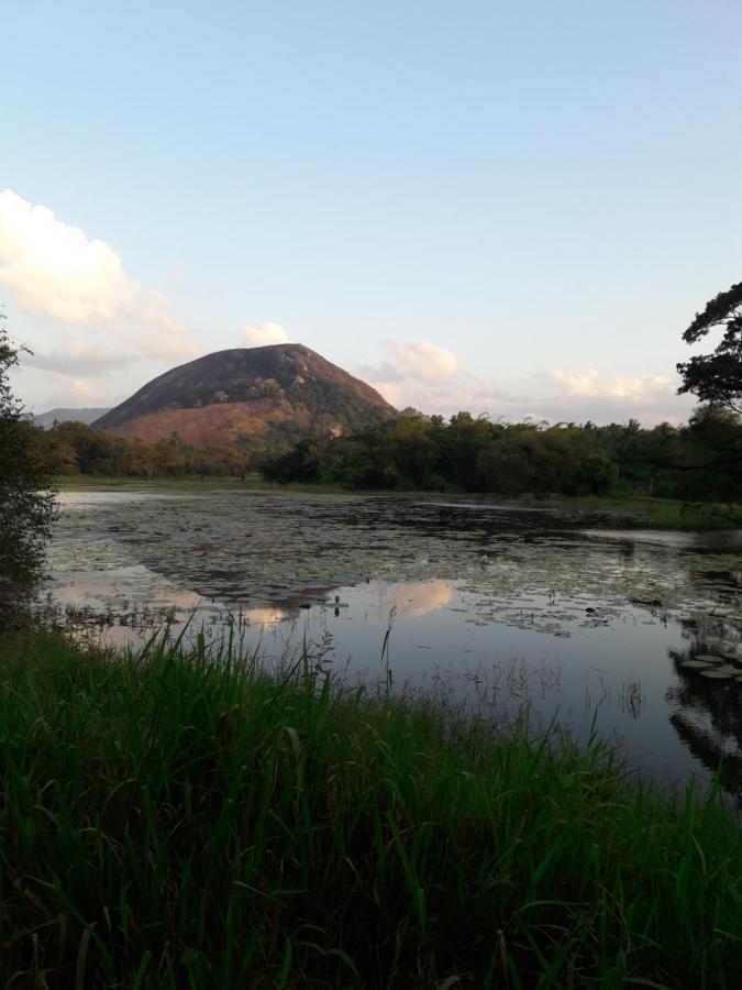 Lake View Dambulla Zewnętrze zdjęcie