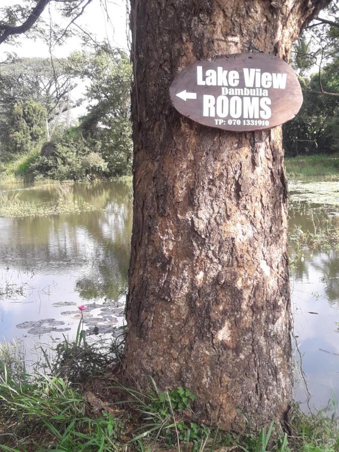 Lake View Dambulla Zewnętrze zdjęcie